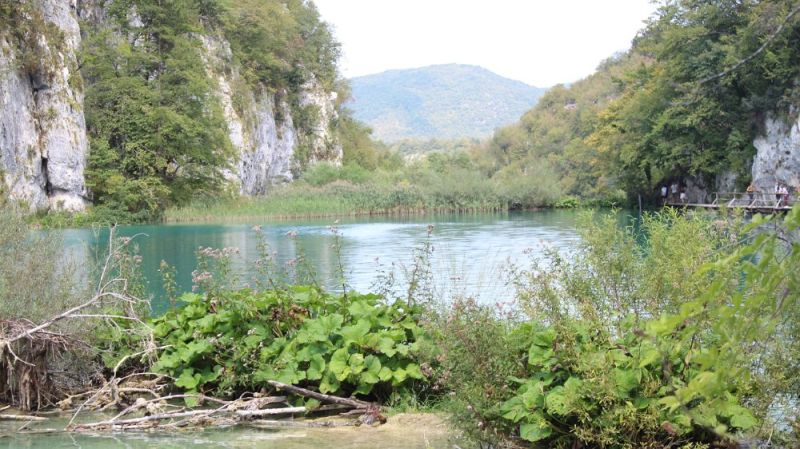 Plitvicer Seen / g_4_0_img_0239.jpg