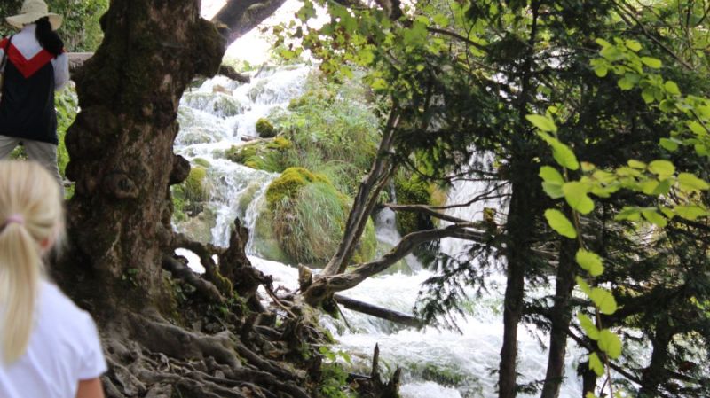 Plitvicer Seen / g_4_0_img_0241.jpg